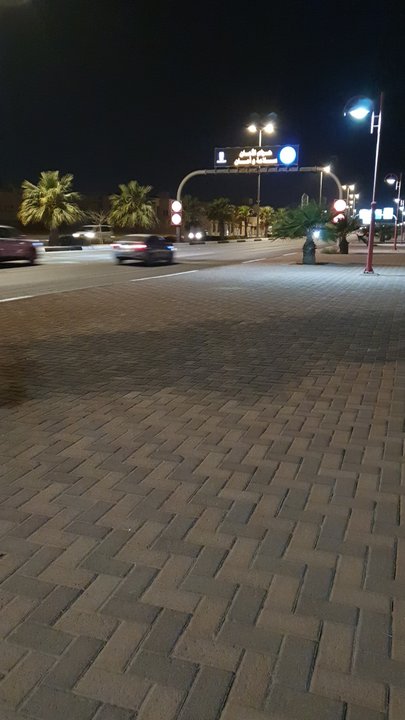 مشاركاتي في أنت الراصد