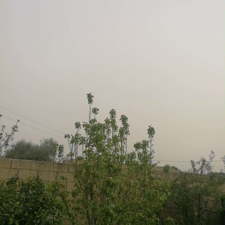 مشاركاتي في أنت الراصد