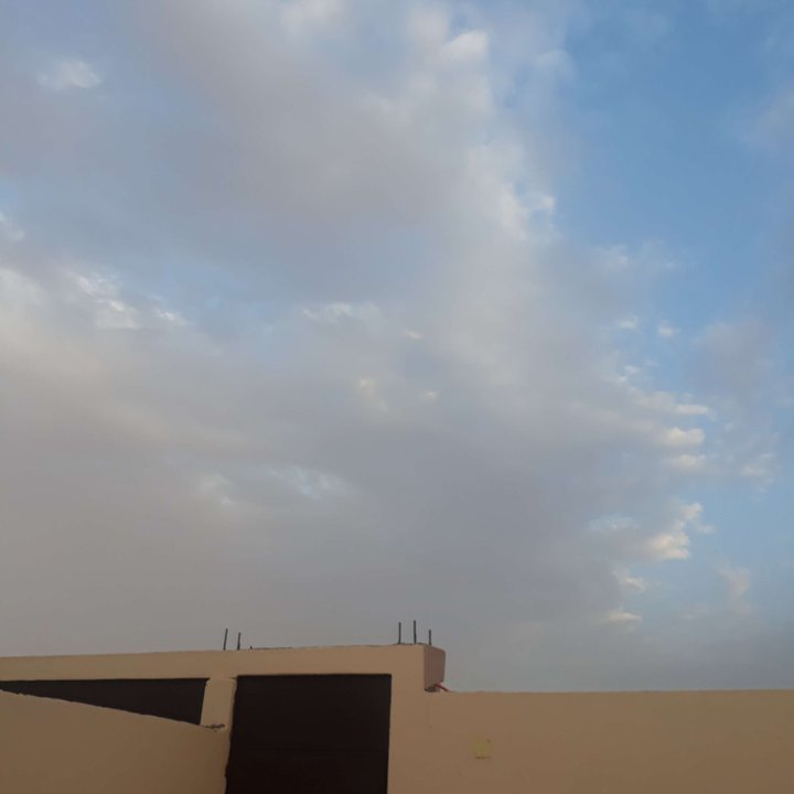 مشاركاتي في أنت الراصد