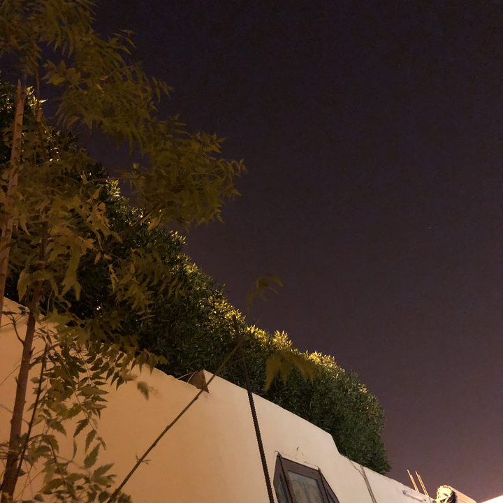 مشاركاتي في أنت الراصد