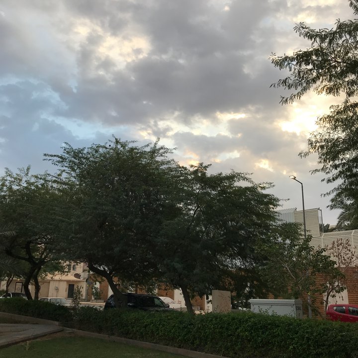 مشاركاتي في أنت الراصد