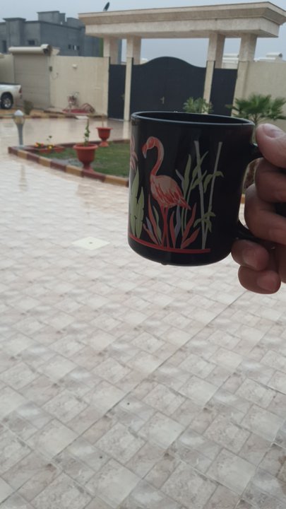 مشاركاتي في أنت الراصد