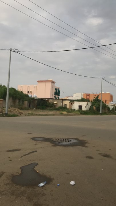 مشاركاتي في أنت الراصد