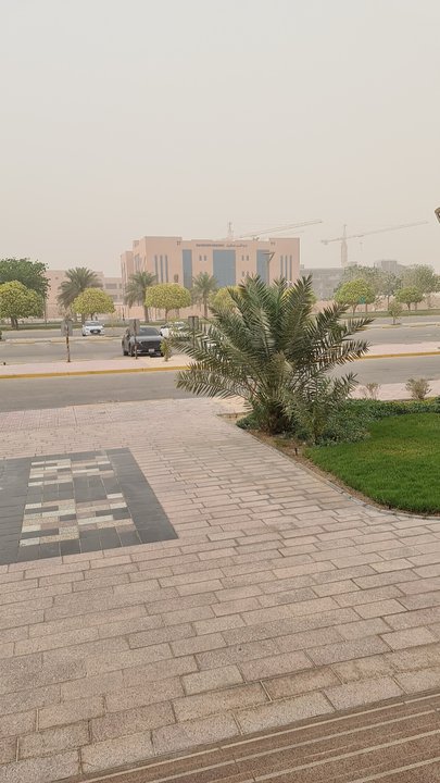 مشاركاتي في أنت الراصد