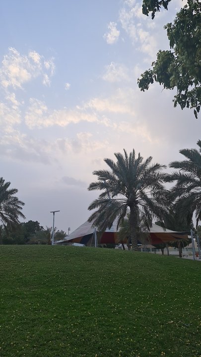 مشاركاتي في أنت الراصد