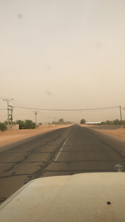 مشاركاتي في أنت الراصد