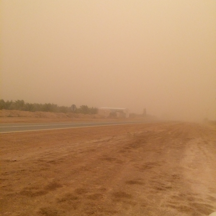 مشاركاتي في أنت الراصد