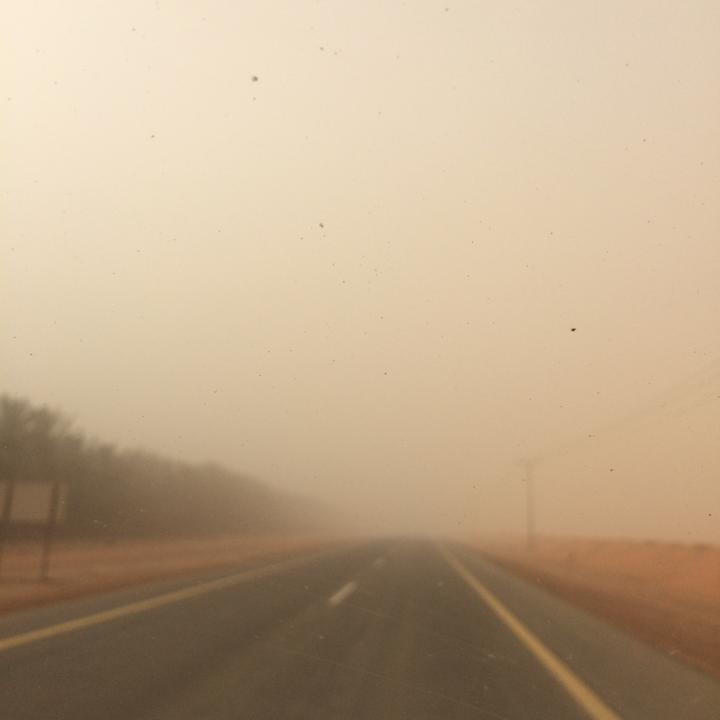 مشاركاتي في أنت الراصد