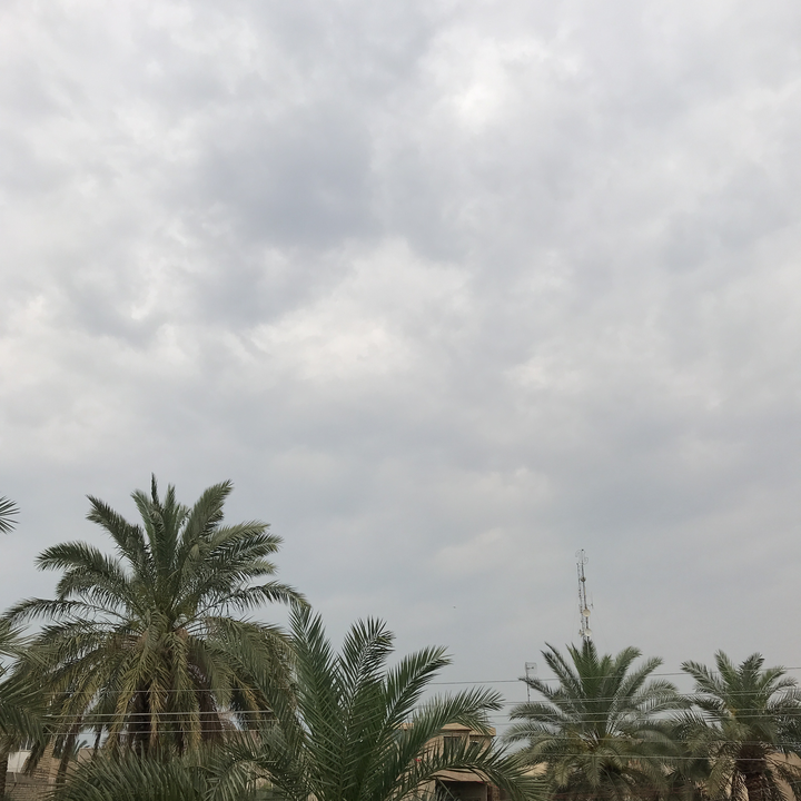 مشاركاتي في أنت الراصد