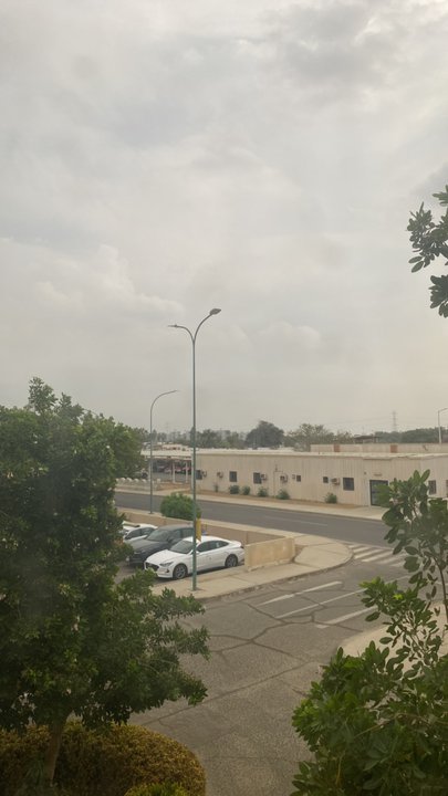 مشاركاتي في أنت الراصد