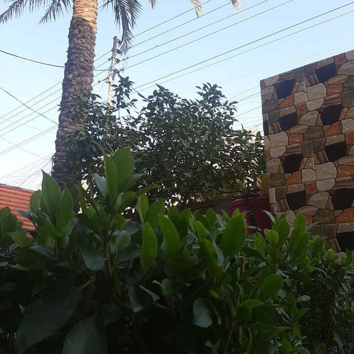 My Crowdsourcing Posts