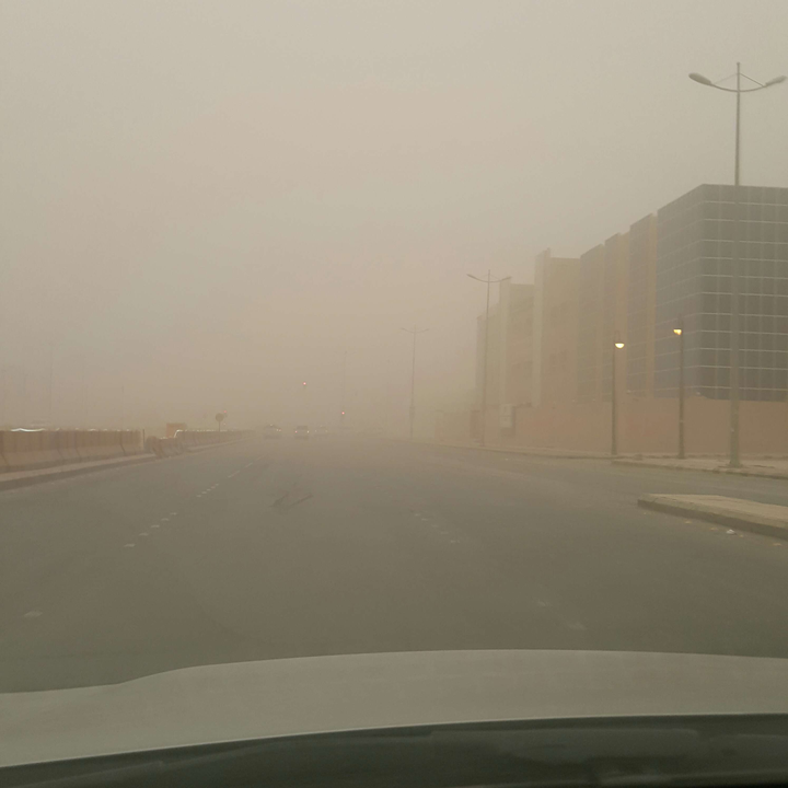 مشاركاتي في أنت الراصد