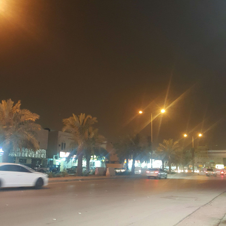 مشاركاتي في أنت الراصد