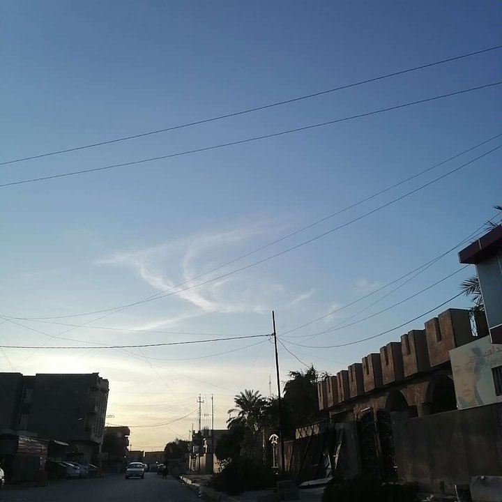 مشاركاتي في أنت الراصد