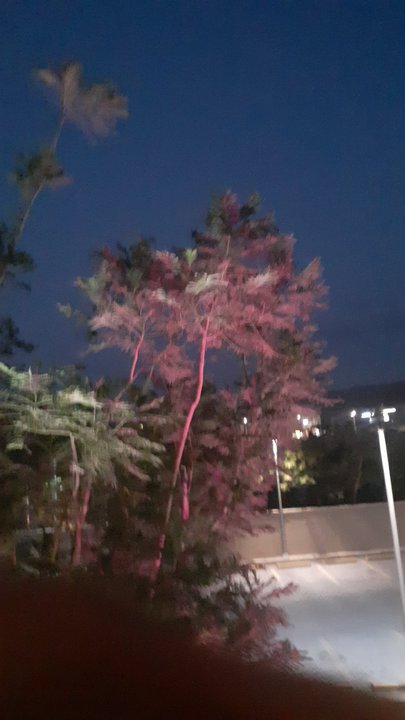 مشاركاتي في أنت الراصد