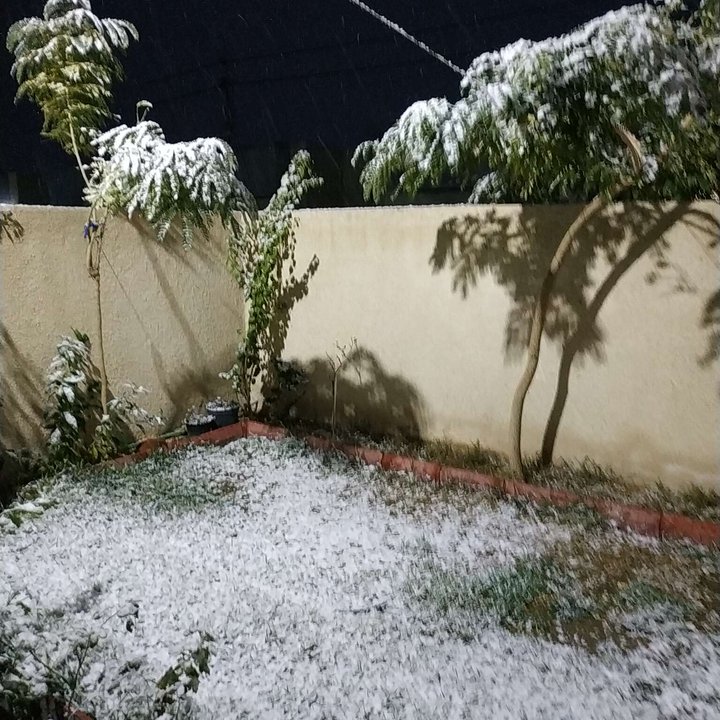 مشاركاتي في أنت الراصد