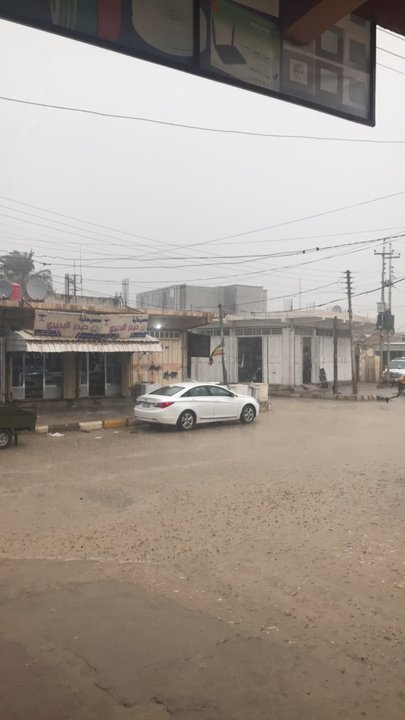 مشاركاتي في أنت الراصد