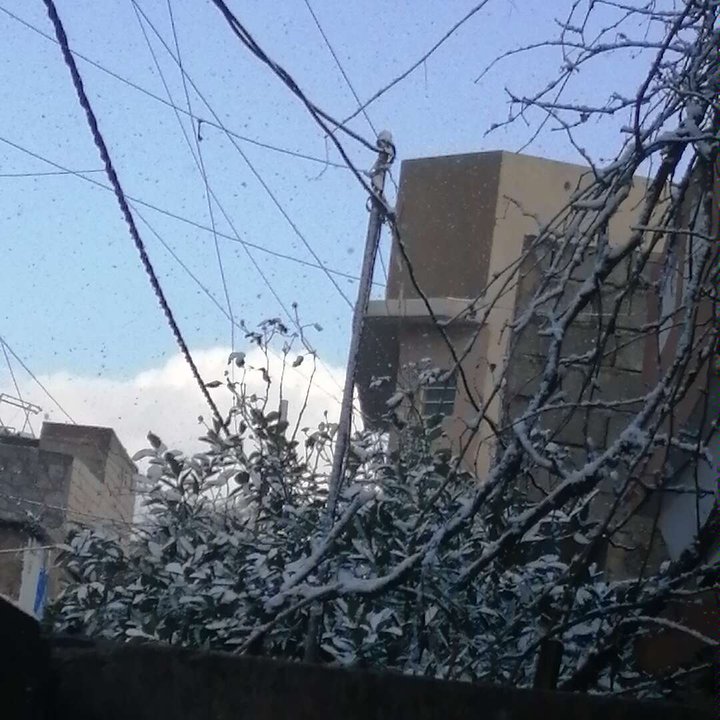 مشاركاتي في أنت الراصد