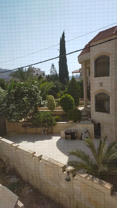 مشاركاتي في أنت الراصد