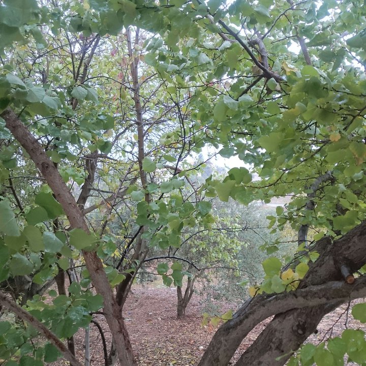 My Crowdsourcing Posts