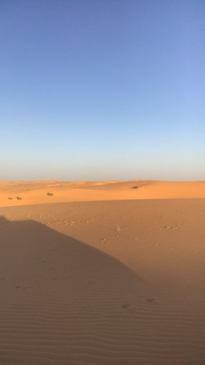 مشاركاتي في أنت الراصد