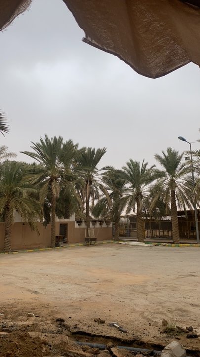 مشاركاتي في أنت الراصد