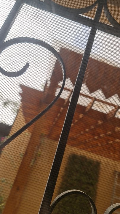 مشاركاتي في أنت الراصد