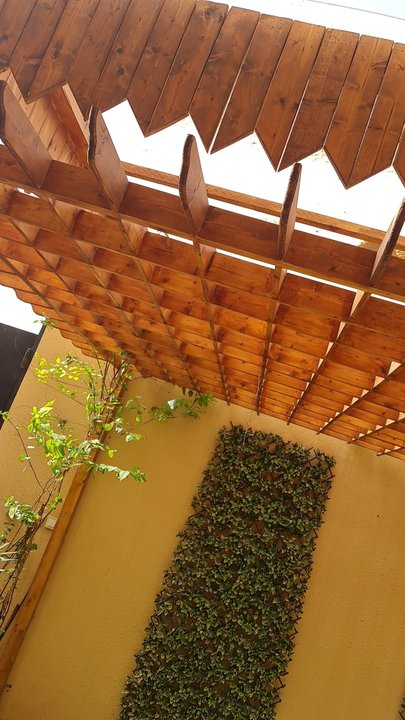 مشاركاتي في أنت الراصد