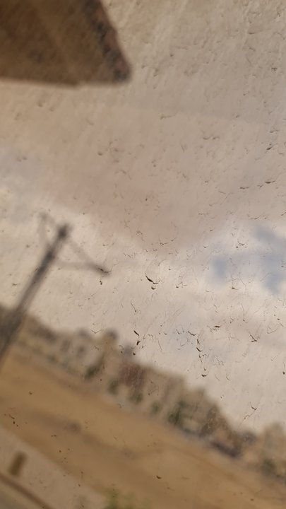 مشاركاتي في أنت الراصد