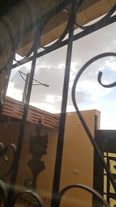 مشاركاتي في أنت الراصد