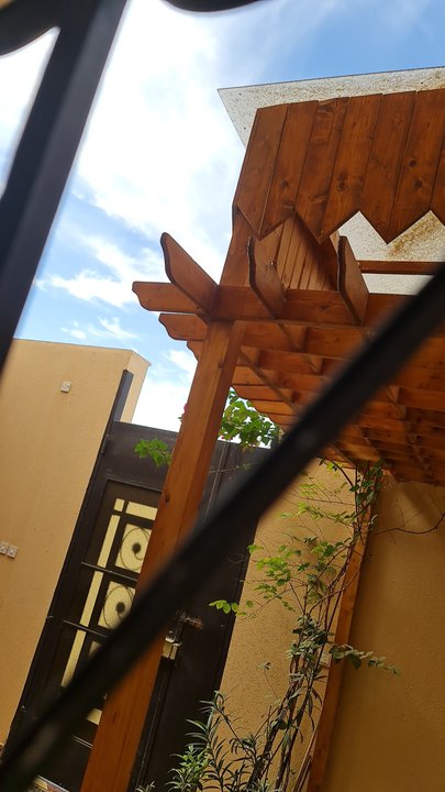 مشاركاتي في أنت الراصد