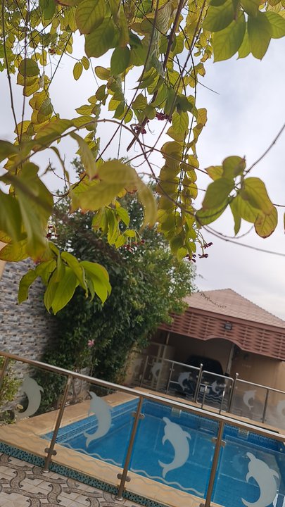 مشاركاتي في أنت الراصد