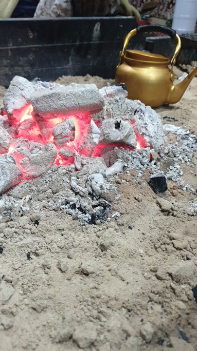 مشاركاتي في أنت الراصد