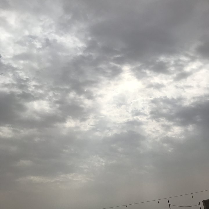 مشاركاتي في أنت الراصد