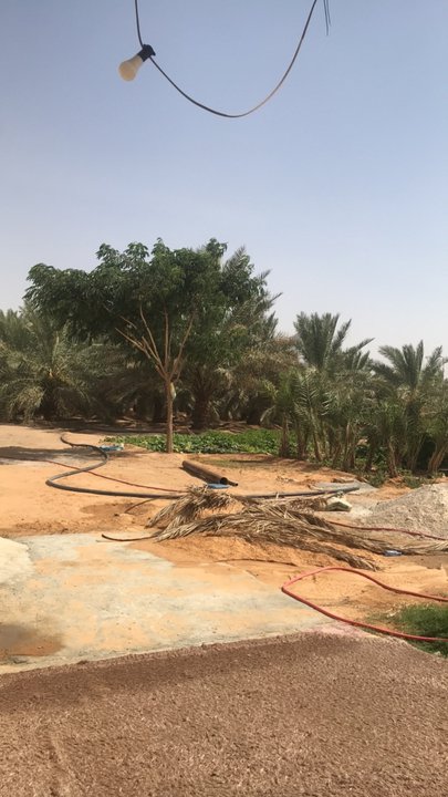 مشاركاتي في أنت الراصد