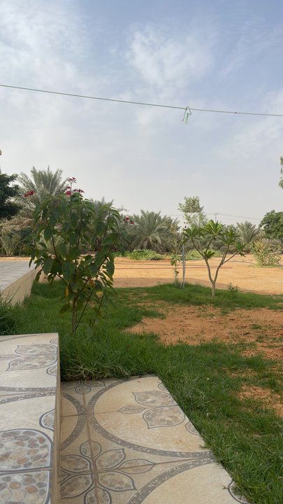 مشاركاتي في أنت الراصد