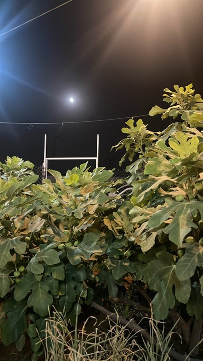 Mes publications Crowdsourcing