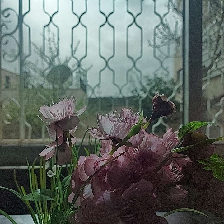 مشاركاتي في أنت الراصد