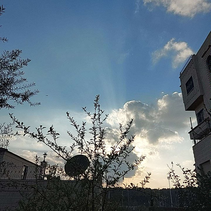 مشاركاتي في أنت الراصد