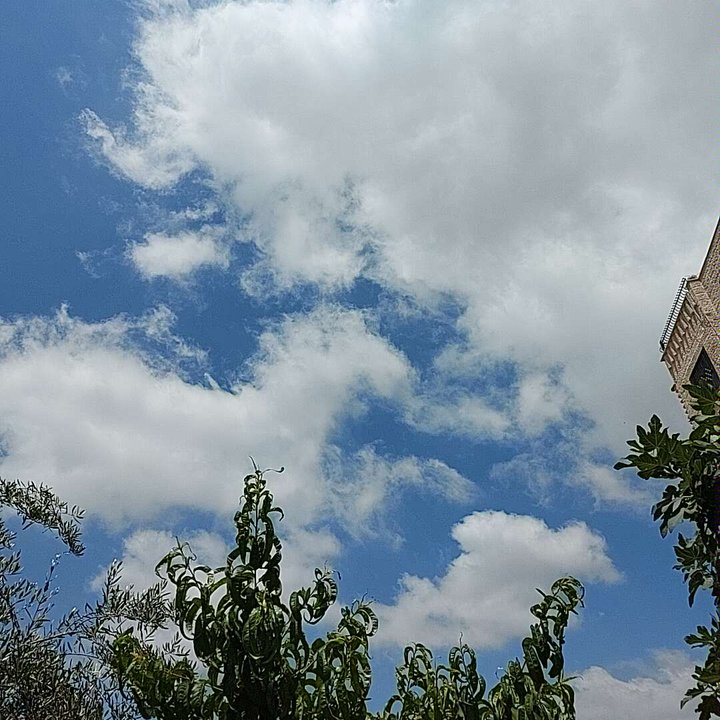 مشاركاتي في أنت الراصد