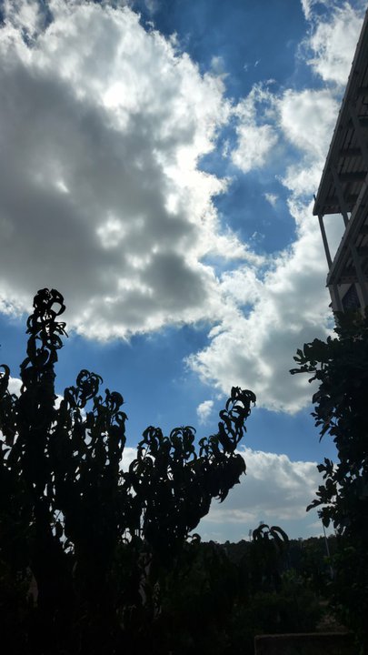 مشاركاتي في أنت الراصد