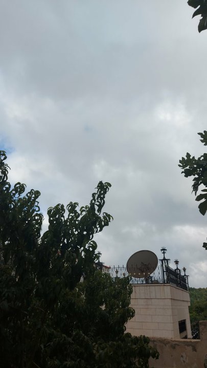 مشاركاتي في أنت الراصد