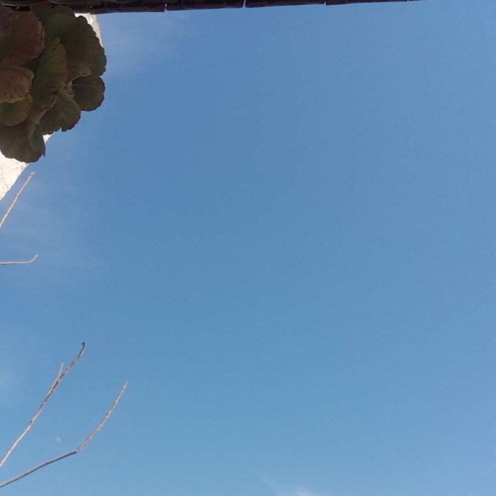 Mes publications Crowdsourcing