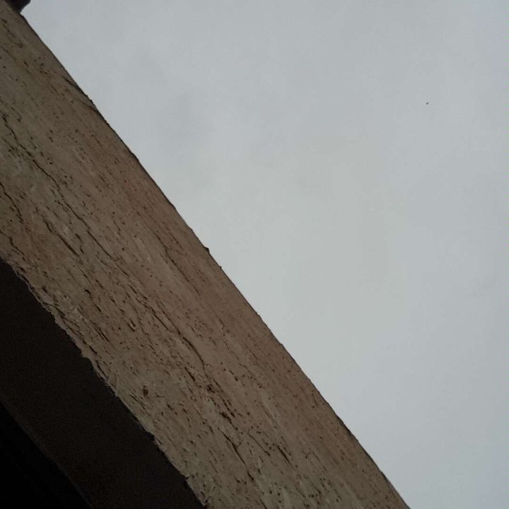 Mes publications Crowdsourcing