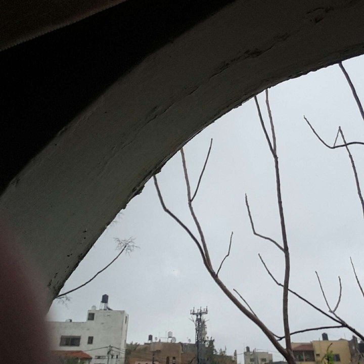 مشاركاتي في أنت الراصد