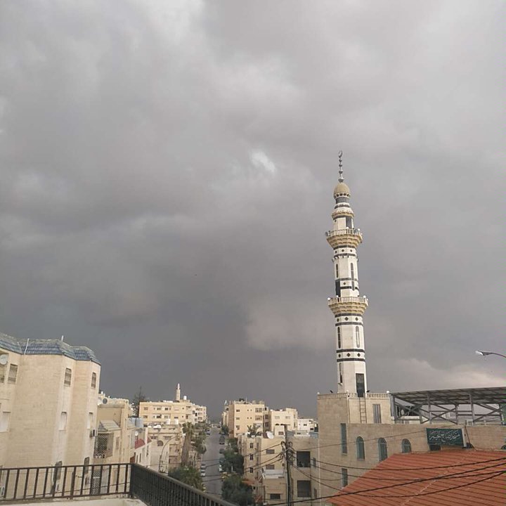 مشاركاتي في أنت الراصد