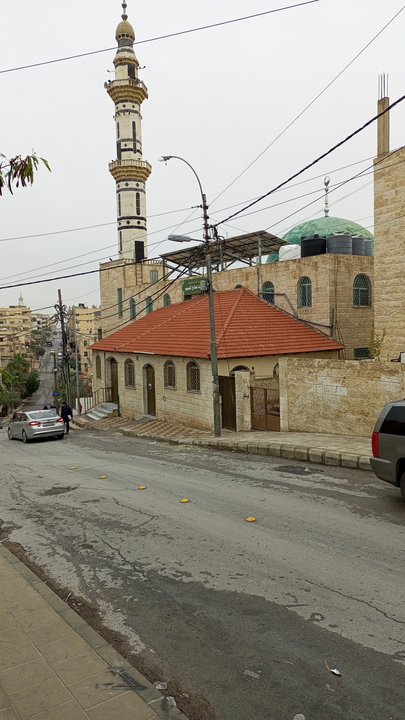 مشاركاتي في أنت الراصد