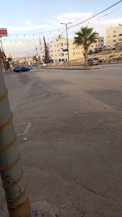 مشاركاتي في أنت الراصد