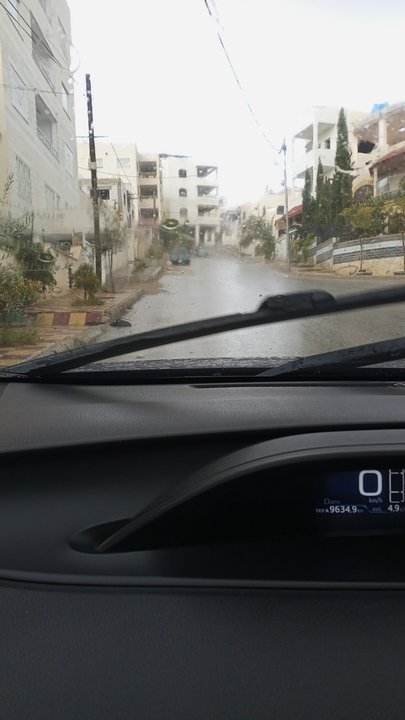 مشاركاتي في أنت الراصد