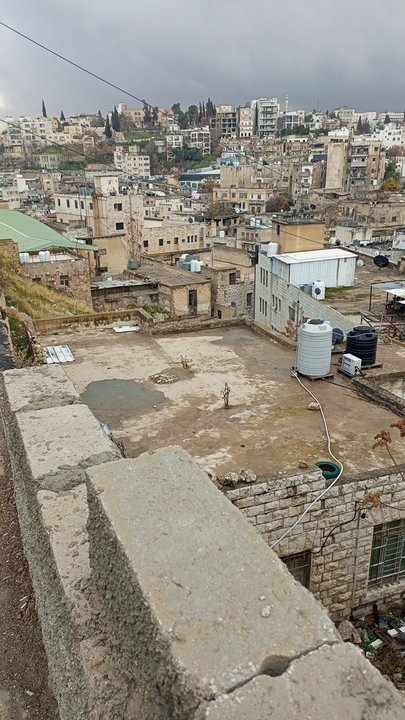 مشاركاتي في أنت الراصد